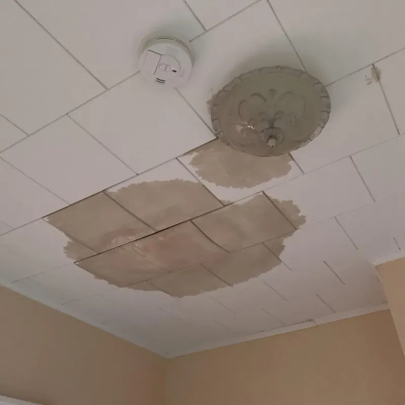 Ceiling Water Damage Repair in Boscobel, WI
